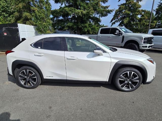 2020 Lexus UX 