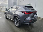 2025 Lexus NX 