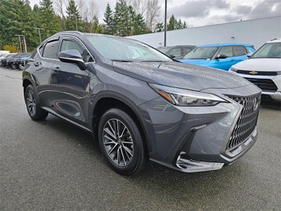 2025 Lexus NX 